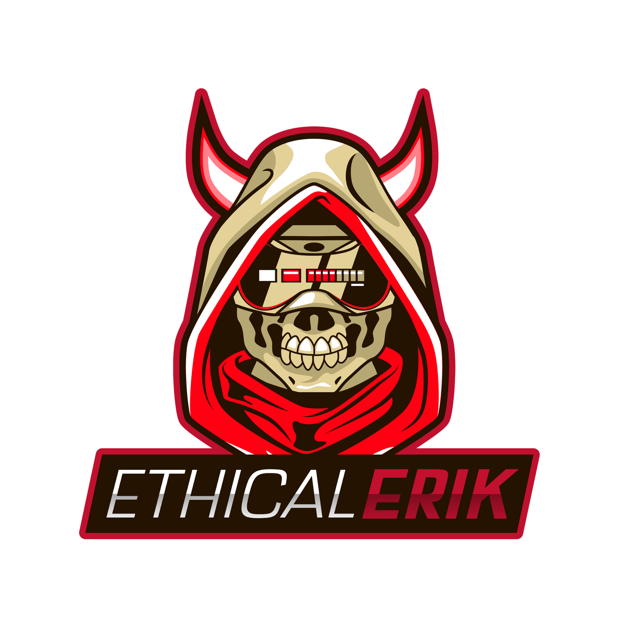 Ethical Erik - Tips&Tricks about hacking
